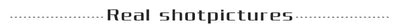 Cotton White Tshirts 2024 Clothes Plain Blue Female Tops Women's T Shirts Loose Funny Spring and Autumn Sale Elegant Youth Tees